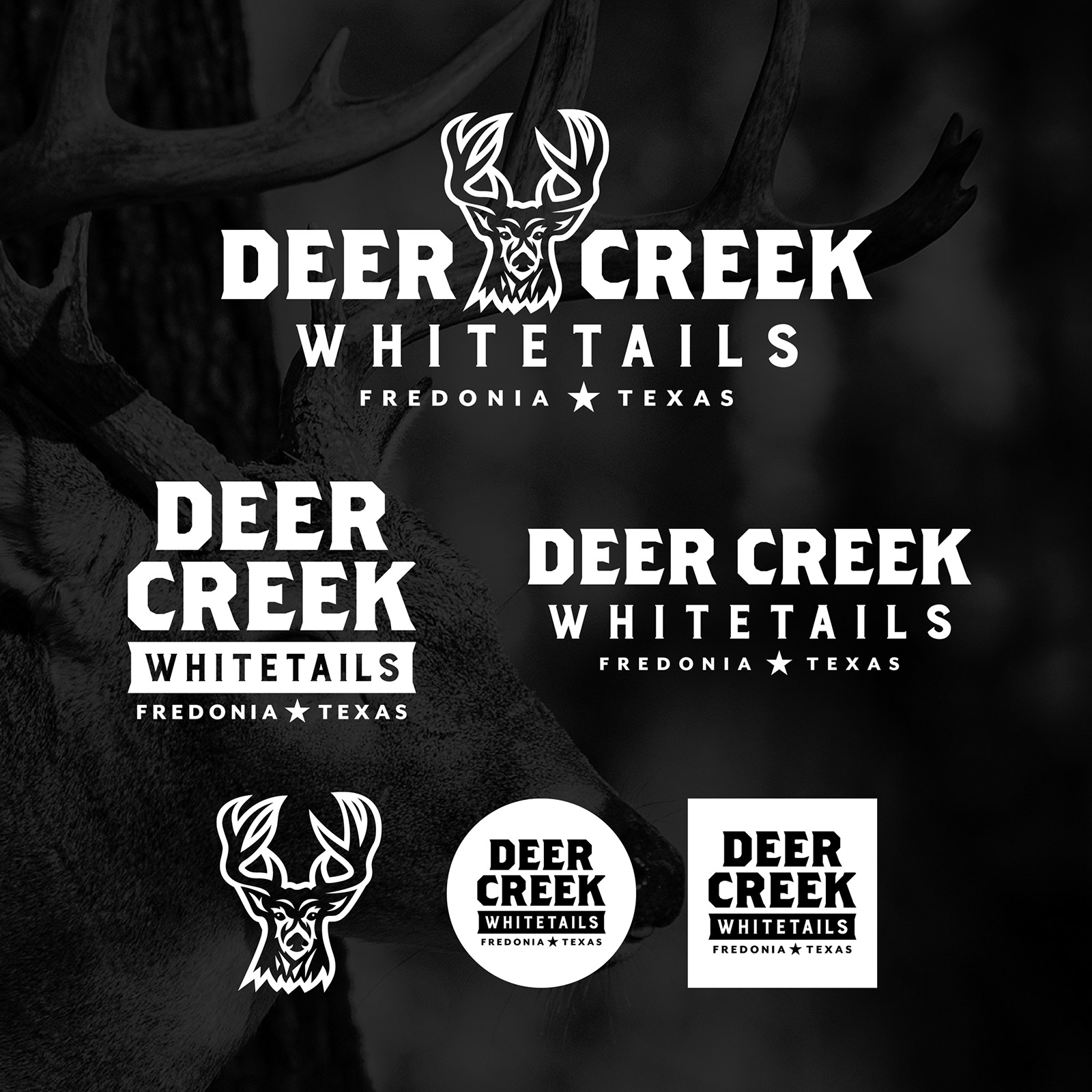 Deer Creek Whitetails hunting logo design by beau morrow for left hand design in austin texas